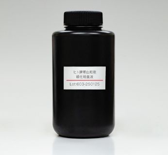 「臍帯⾎」由来幹細胞培養液（⽇本⼈由来）